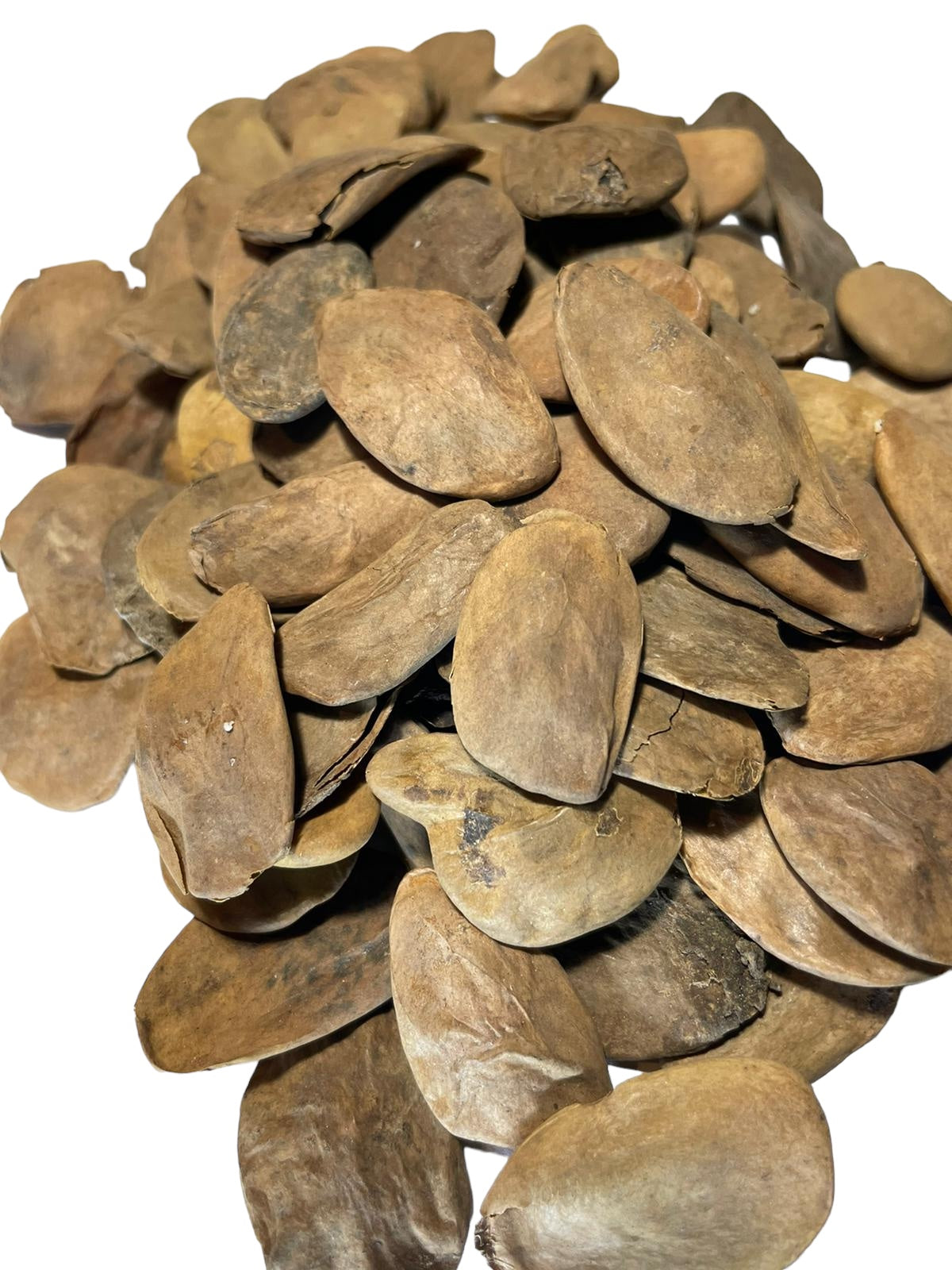 20 Abere Seeds